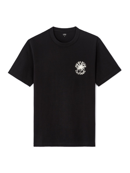 Celio Majica Memilibu