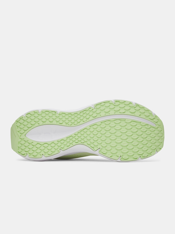 Under Armour Ženske cipele Under Armour UA W Ascend