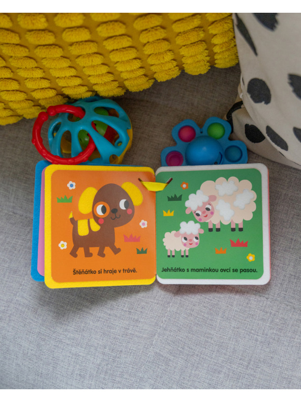 ELLA & MAX Knjiga za kolica – MAČKA I PRIJATELJI