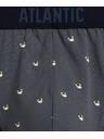 Atlantic Muške sportske slip gaćice ATLANTIC 3Pack - višebojne Veličina: