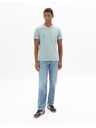 Celio Majica Neuniv