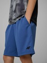 4F Dječačke kratke hlače 4F FNK