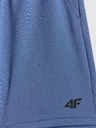 4F Dječačke kratke hlače 4F FNK