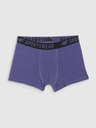 4F Dječji boksaški šorts 4F (3pack)