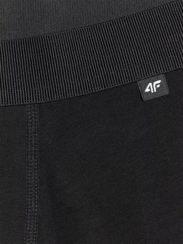 4F Muške bokserice 4F (2pack)