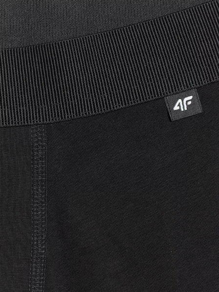 4F Muške bokserice 4F (2pack)