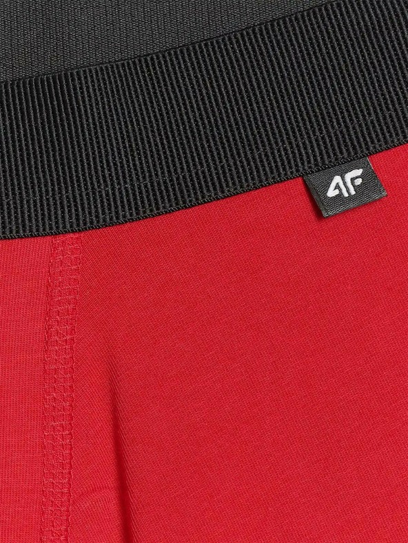 4F Muške bokserice 4F (2pack)