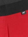 4F Muške bokserice 4F (2pack)