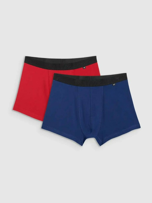 4F Muške bokserice 4F (2pack)