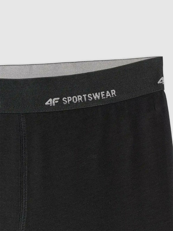 4F Muške bokserice 4F Falcon (2pack)