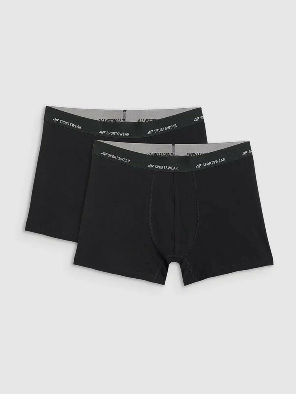 4F Muške bokserice 4F Falcon (2pack)