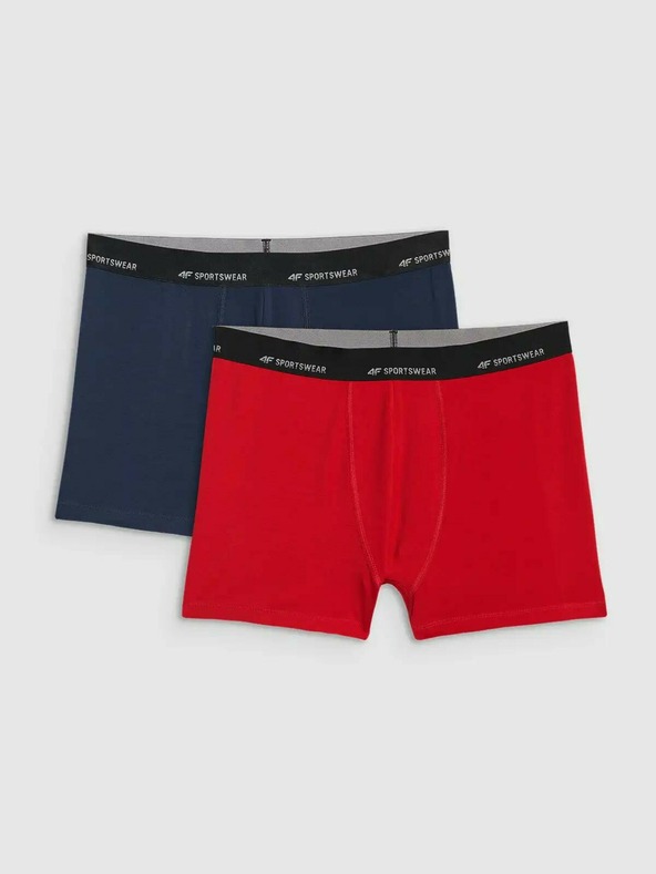 4F Muške bokserice 4F Falcon (2pack)