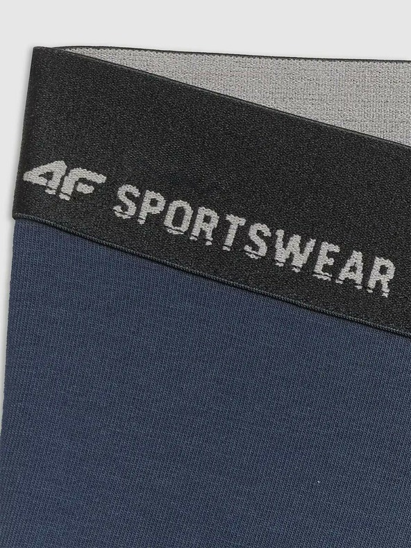 4F Muške bokserice 4F Falcon (2pack)