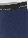 4F Muške bokserice 4F Falcon (2pack)