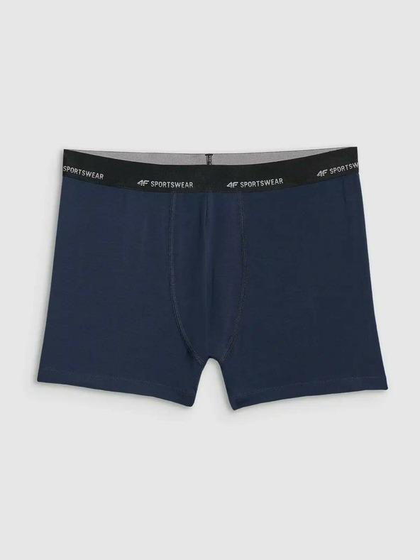 4F Muške bokserice 4F Falcon (2pack)