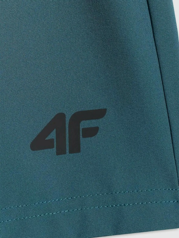 4F Muške kratke hlače 4F Batan