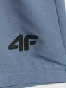 4F Muške kratke hlače 4F Batan