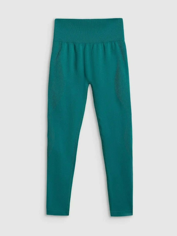 4F Ženske tajice 4F FNK Hawk