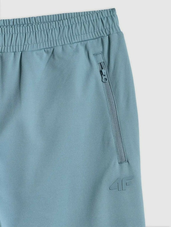 4F Muški donji dio trenirke 4F FNK Kali