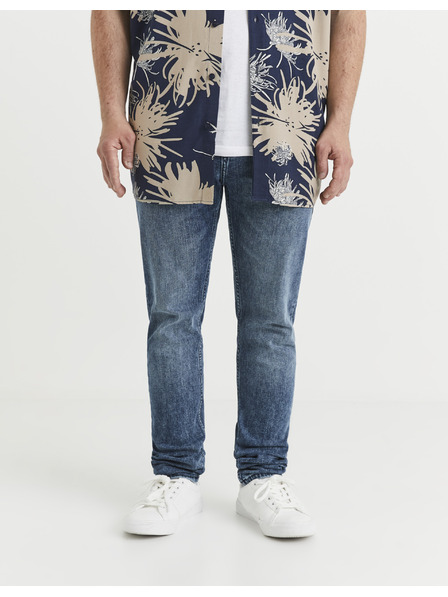 Celio Voslue25 Traperice
