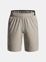 Under Armour Dječačke šorts Under Armour UA Vanish Shorts-BRN
