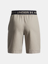 Under Armour Dječačke šorts Under Armour UA Vanish Shorts-BRN