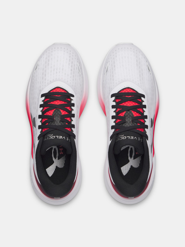 Under Armour Muške cipele Under Armour UA Velociti Pace