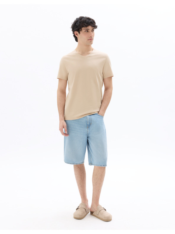 Celio Majica Neuniv