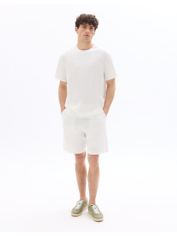 Celio Majica Neplissti