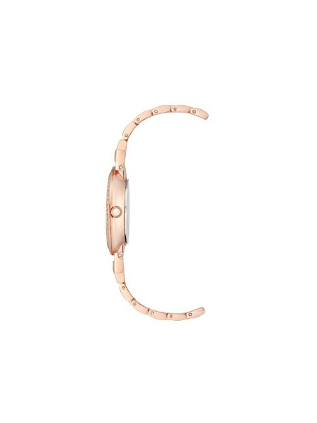 Anne Klein Ružičasto zlatni ženski satovi Anne Klein