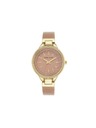 Anne Klein Zlatni ženski satovi Anne Klein