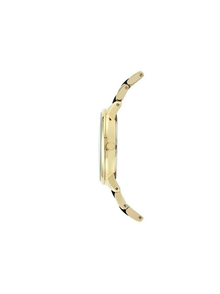 Anne Klein Zlatni ženski satovi Anne Klein