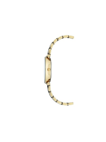 Anne Klein Zlatni ženski satovi Anne Klein