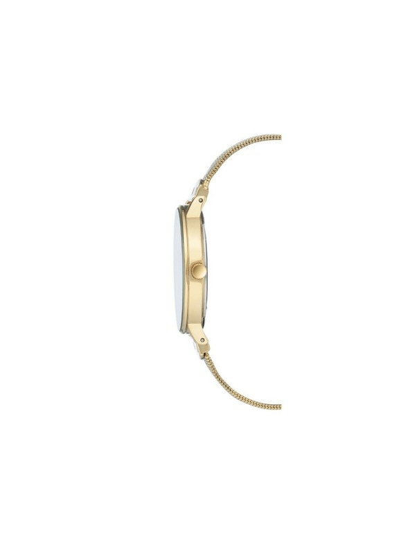Anne Klein Zlatni ženski satovi Anne Klein