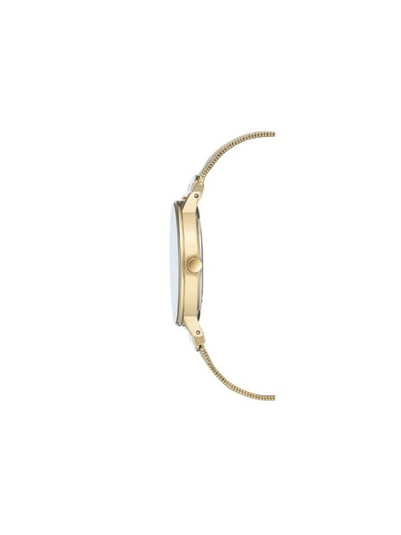 Anne Klein Zlatni ženski satovi Anne Klein