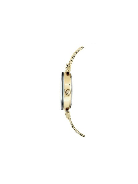 Anne Klein Zlatni ženski satovi Anne Klein