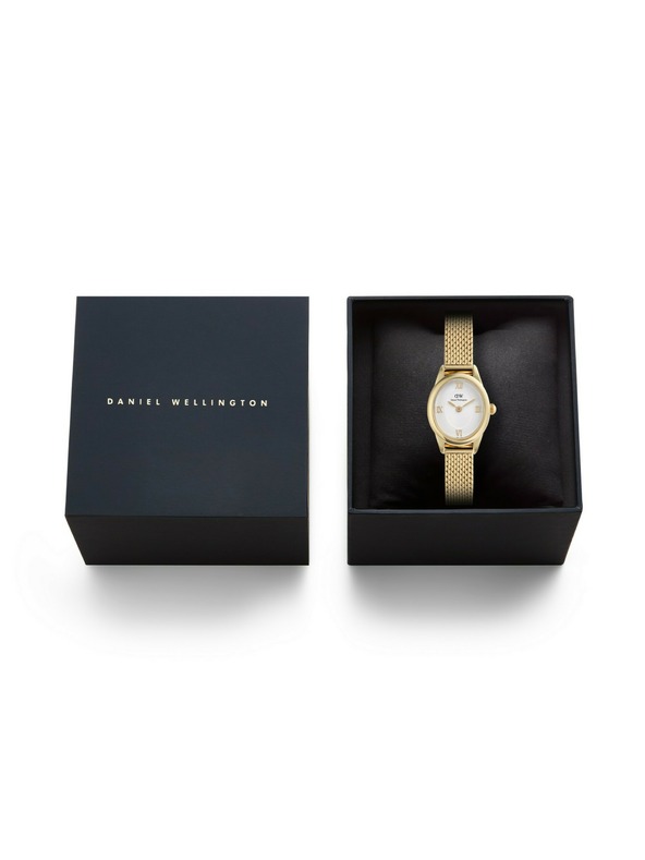 Daniel Wellington Ženski sat Daniel Wellington Ophelia Mini mrežasti ovalni DW00100939