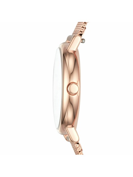 Skagen Ženski satovi Skagen Signatur Lille Mesh SKW2694