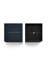 Daniel Wellington Daniel Wellington ženski narukvica čelična Mirelle Star DW00401625
