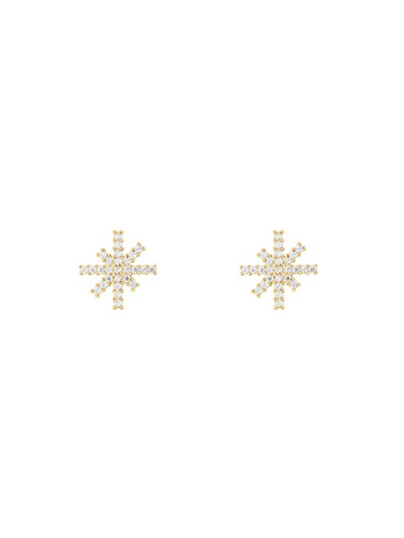 Daniel Wellington Ženski čelični naušnici Daniel Wellington Mirelle Star DW00401611