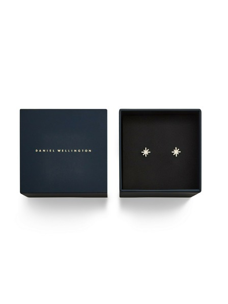 Daniel Wellington Ženski čelični naušnici Daniel Wellington Mirelle Star DW00401611
