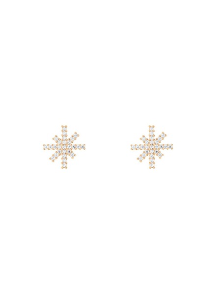 Daniel Wellington Ženski čelični naušnici Daniel Wellington Mirelle Star DW00401612