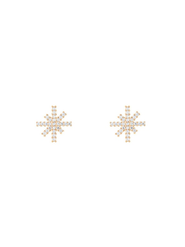 Daniel Wellington Ženski čelični naušnici Daniel Wellington Mirelle Star DW00401612