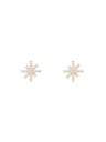 Daniel Wellington Ženski čelični naušnici Daniel Wellington Mirelle Star DW00401612