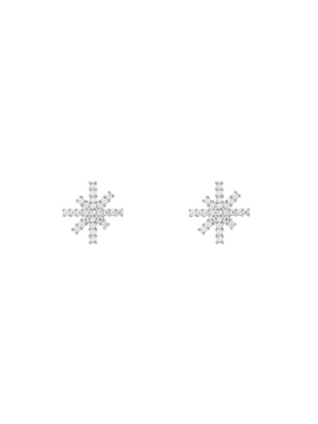 Daniel Wellington Ženski čelični naušnici Daniel Wellington Mirelle Star DW00401613
