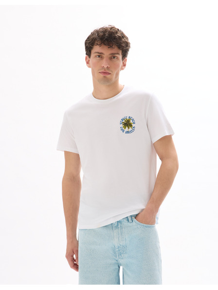 Celio Majica Mexpalmi