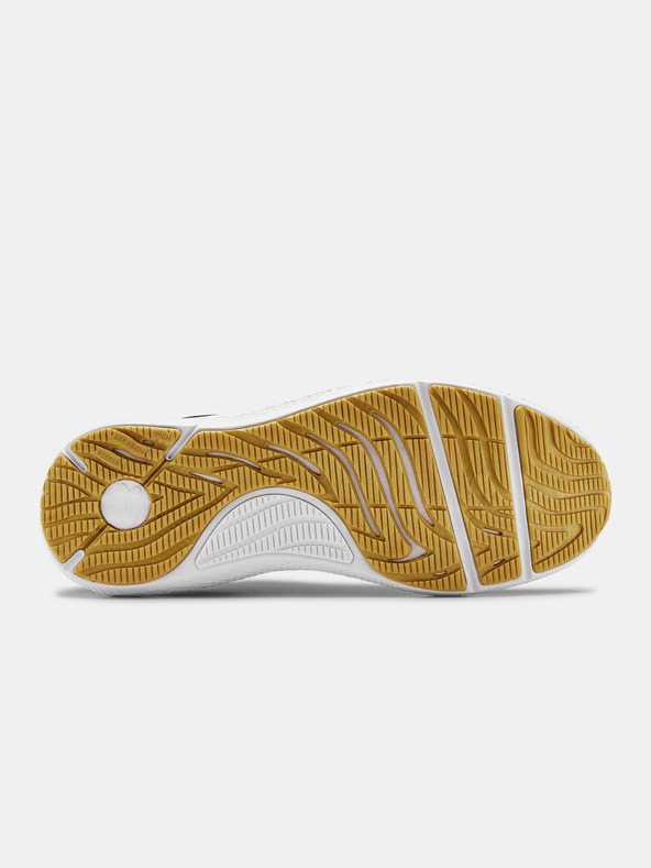 Under Armour Muške cipele Under Armour Charged Pursuit 2