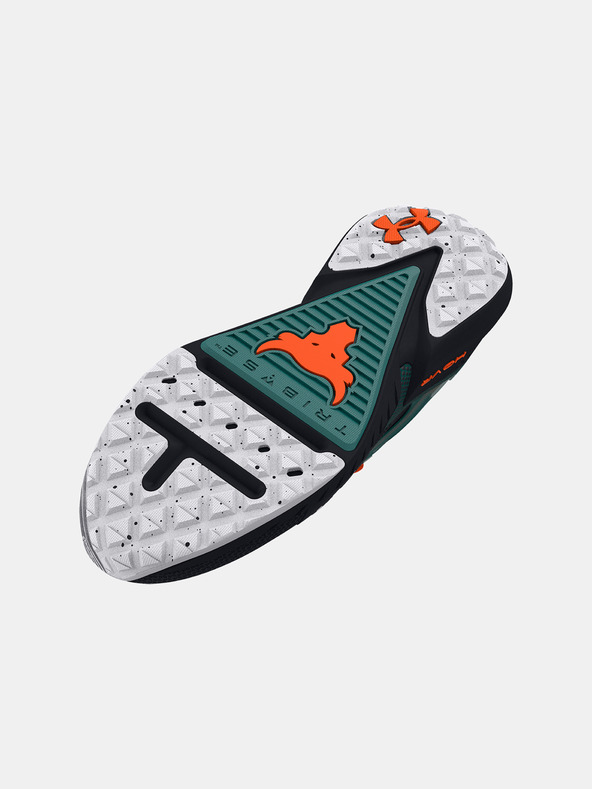 Under Armour Unisex cipele Under Armour UA Project Rock 5 305