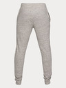 Under Armour Muške trenirke Under Armour Sportstyle Terry Jogger