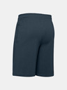 Under Armour Muške kratke hlače Under Armour COTTON BIG LOGO SHORTS